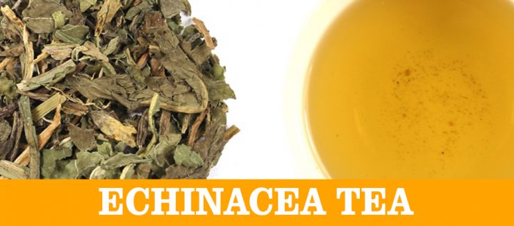 E Stands for Echinacea Tea
