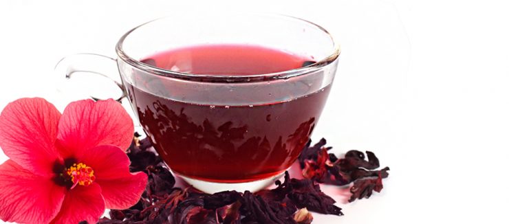 Where to Buy Hibiscus Tea