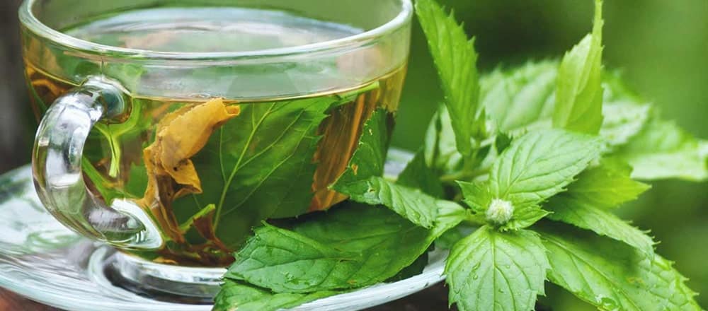Amazon.com: Sapa Hemp Green Tea - Antioxidants Loose Leaf 2 oz : Grocery &  Gourmet Food
