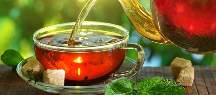 What is the Immune System?