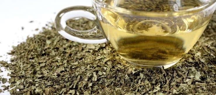 How to Make Milk Thistle