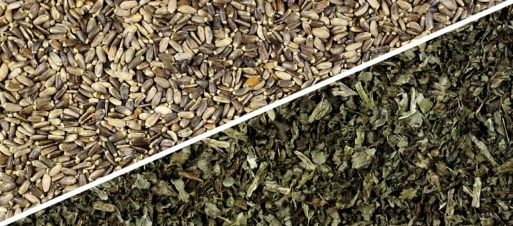 ilk thistle and heart health