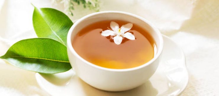 Digestion Health