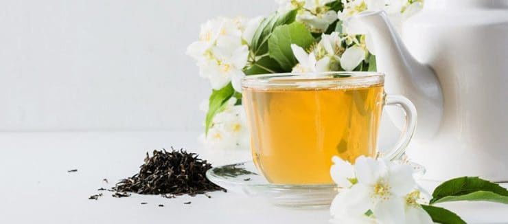Anti-Aging Properties