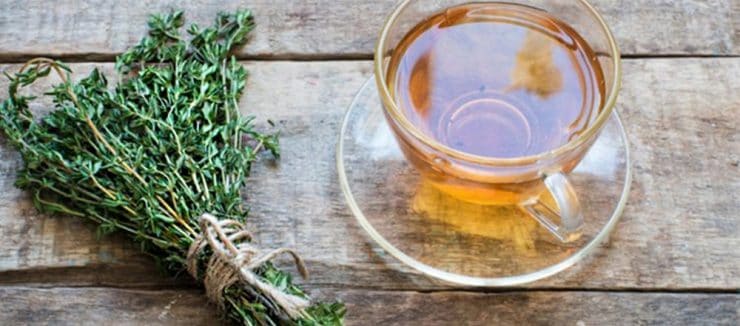Thyme Tea Benefits