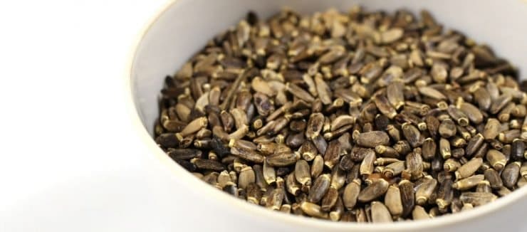 What is Milk Thistle Seed Tea