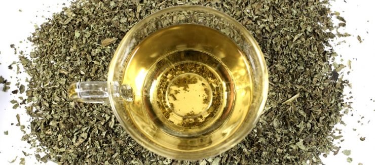 What is Milk Thistle Tea