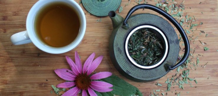 Echinacea Tea Benefits for Skin