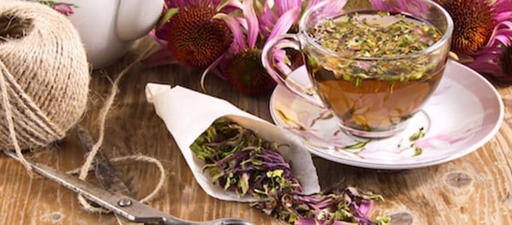 Echinacea Tea Side Effects