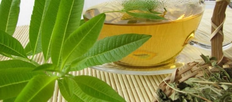 Is Lemon Verbena a Diuretic?