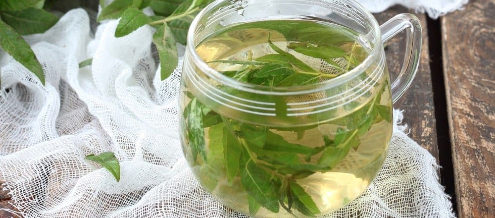 Lemon Verbena Benefits & Side Effects