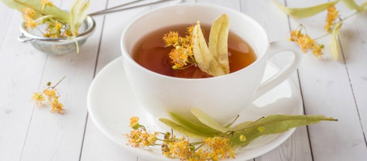 Linden Flower Tea Pregnancy