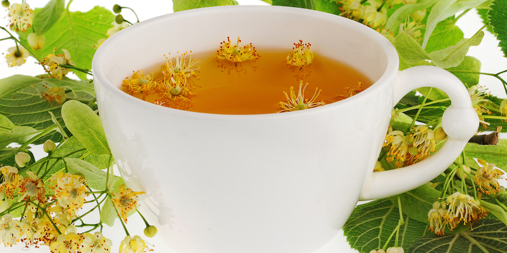 6 Linden Tea Benefits | Kent Tea & Coffee Co