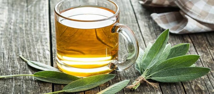 History of Sage Tea