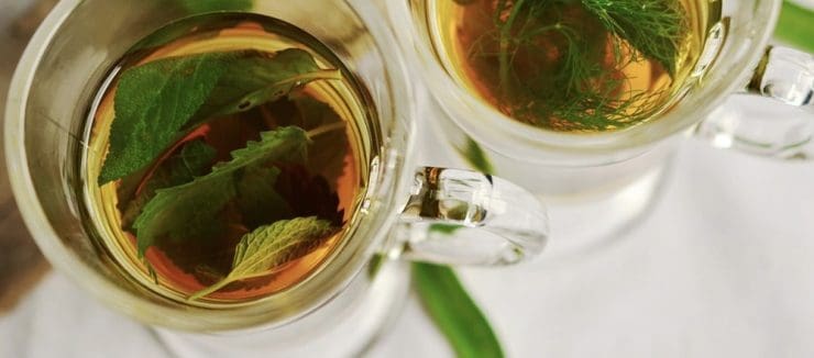 Nettle Tea Benefits for Acne