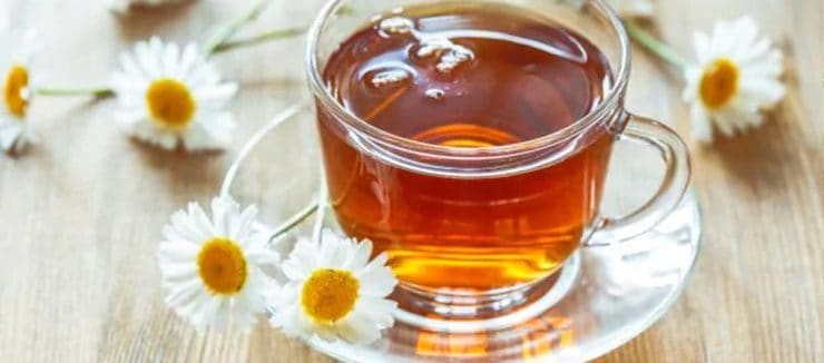Camomile Tea During Pregnancy