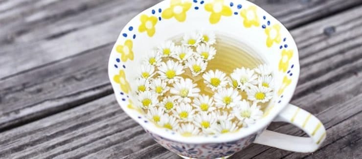 Camomile Tea Helps Anxiety