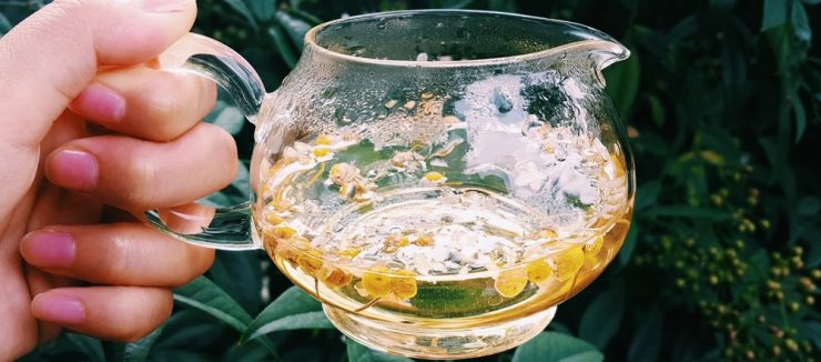 Camomile Tea Nutrition