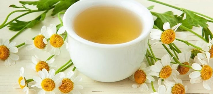 Camomile Tea Side Effects