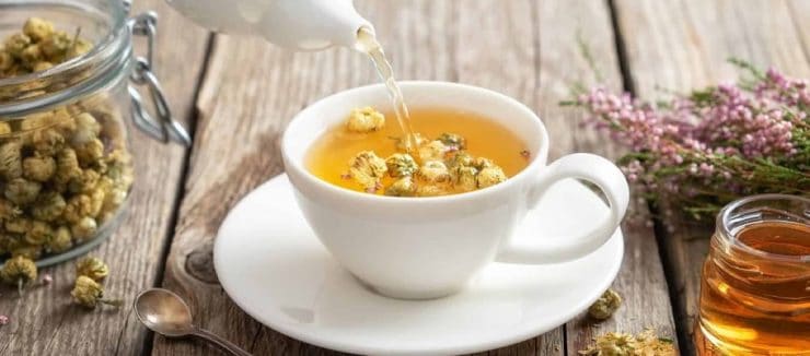 Camomile Tea Caffiene