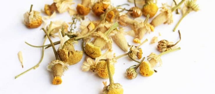 How to Make Camomile Tea