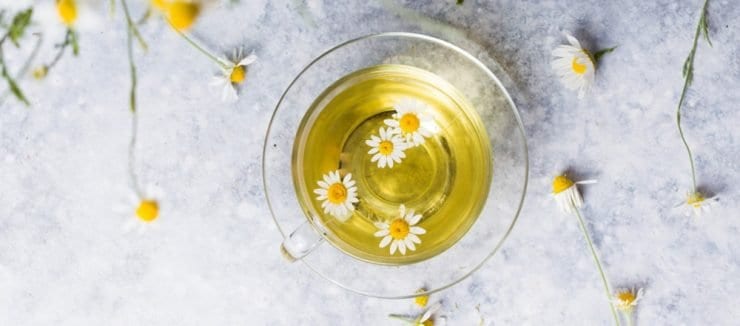 Where to Buy Camomile Tea