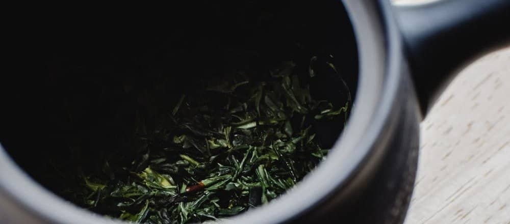 Does Green Tea Help You Lose Weight?