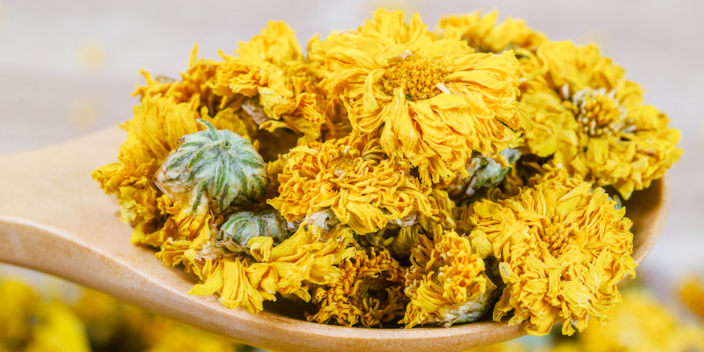 Chrysanthemum Tea for Liver Benefits