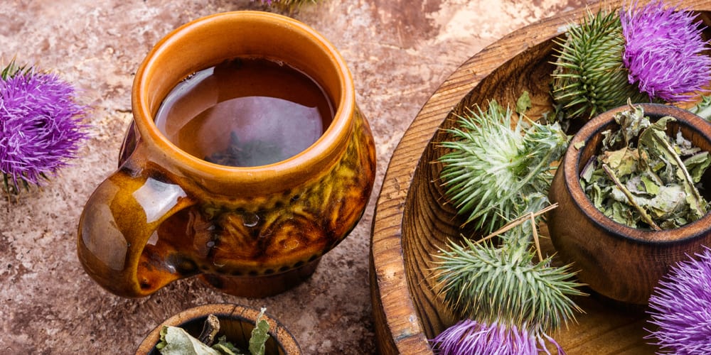 12 Milk Thistle Benefits Kent Tea & Coffee Co