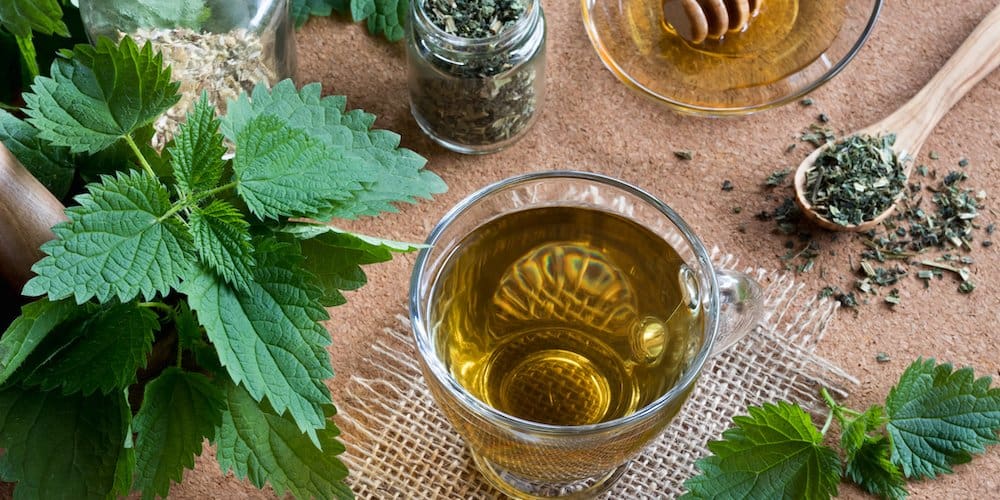 9 Health Benefits of Drinking Nourishing Nettle Tea – Mudbrick Herb Cottage