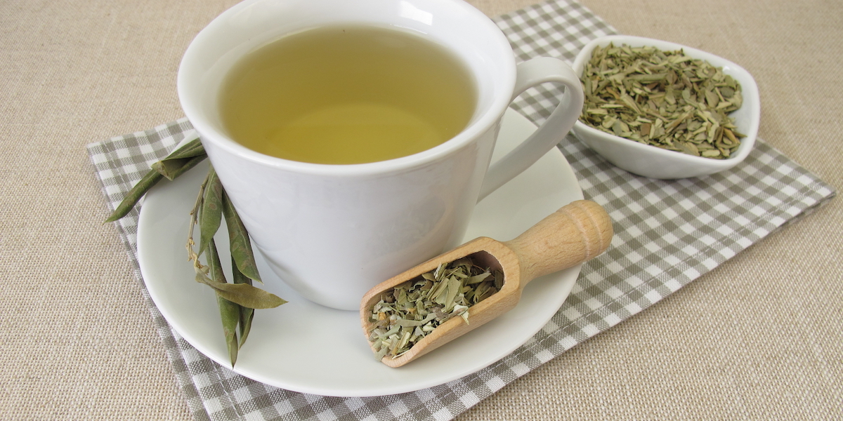 12 Olive Leaf Tea Benefits and Side Effects