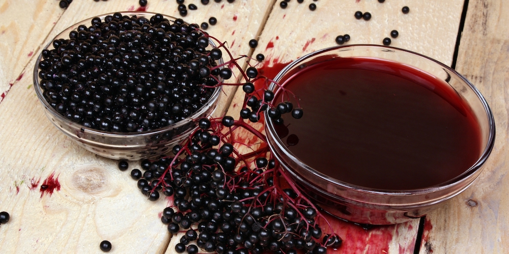 5 Reasons Why You Should Be Drinking Elderberry Tea Every Day