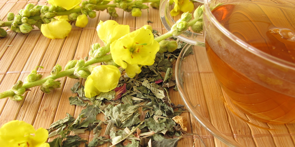 Mullein Tea Benefits & Side Effects