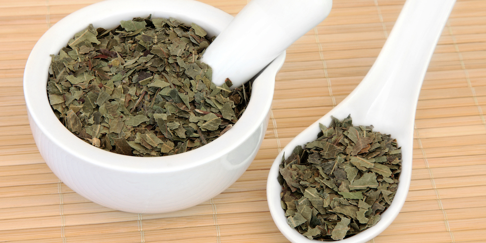 Discover the Many Health Benefits of Drinking Neem Tea