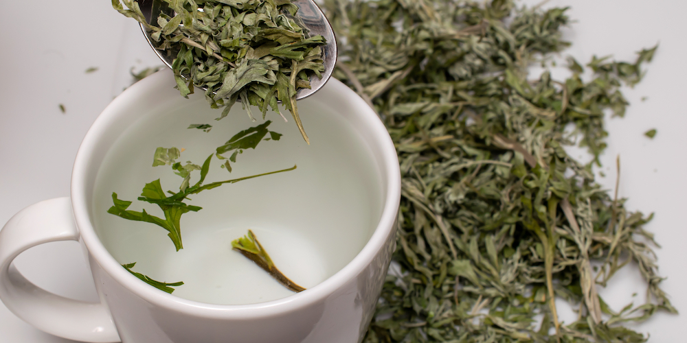 Mugwort Tea Benefits & Side Effects