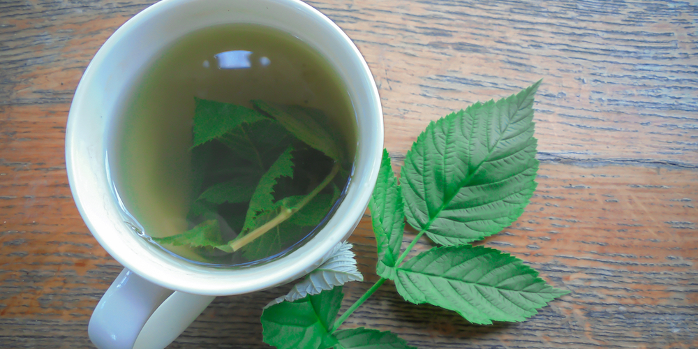 Raspberry Leaf Tea side effects